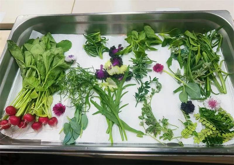 1763011879_53663483508507591663.jpg 微信图片_20251113132151_207_15.jpg