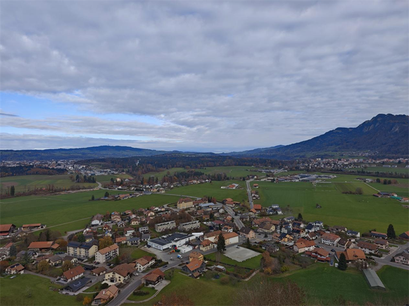 1763709579_89828245215772935185.png 2.png