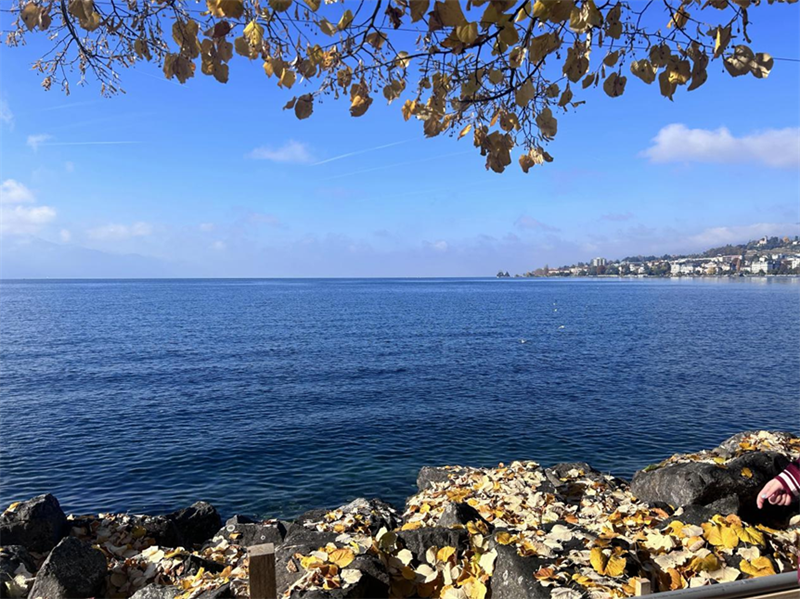 1763709617_99550255115296855174.png 5.png