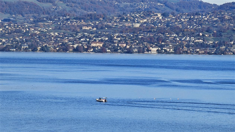 1763709660_12790262243758350784.png 7.png