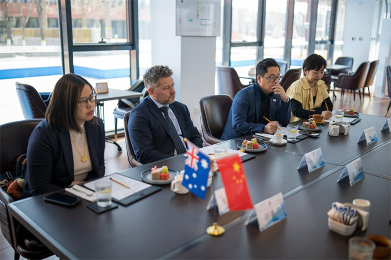 1774517782_88546882621874801103.png 3.png